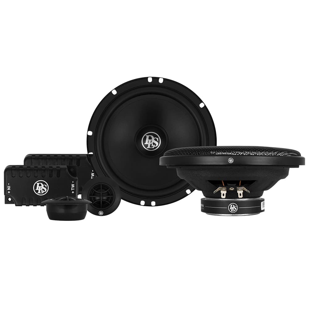 Loa cánh phân tần 2-way DLS PA6.20