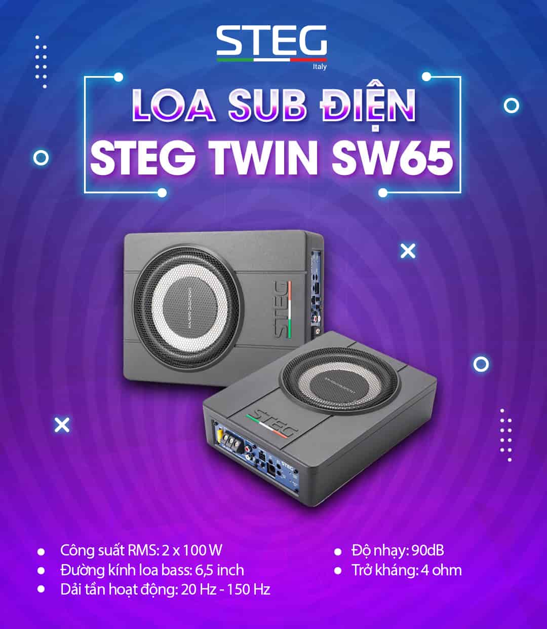 Vì sao nên lắp loa sub điện ô tô STEG TWIN SW65?