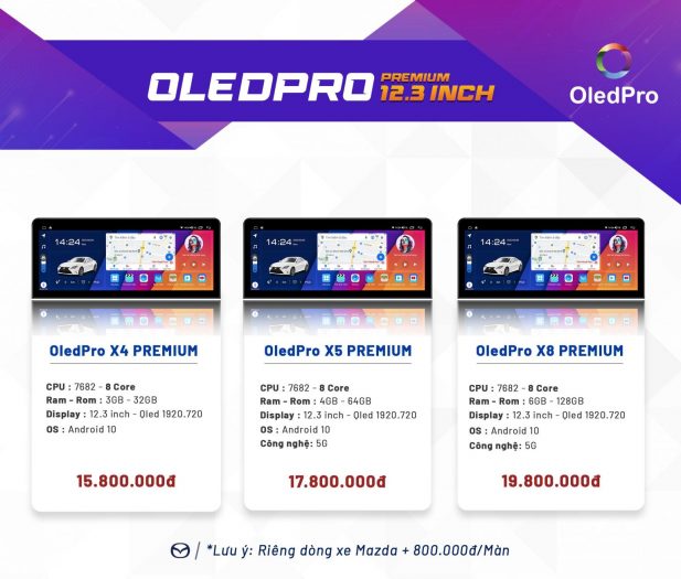 Bao-gia-man-hinh-oled-pro-premium-12.3-inch-1536x1306