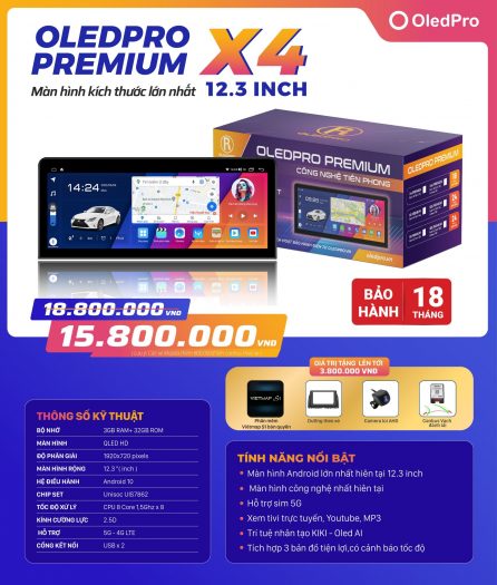 Man-hinh-oled-pro-premium-x4-12.3-inch-1739x2048