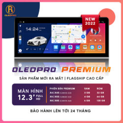 Man-hinh-android-oledpro-premium-12-3-inch-3