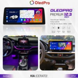 Man-hinh-dvd-android-oledpro-premium-12-3-inch-khung-nhat-3-458x458