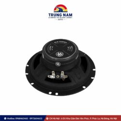 Loa Cánh đồng Trục Dls Pa6 - 3