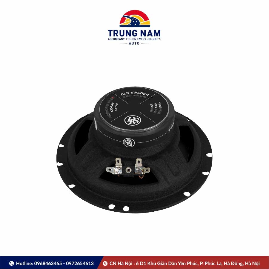 Loa Cánh đồng Trục Dls Pa6 - 3